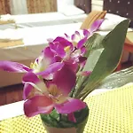 Lika Laleli Apartmanhotel 2*