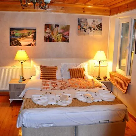 Lika Laleli 2* Istanbul