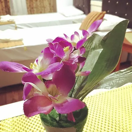 Lika Laleli Apart-hotel 2*